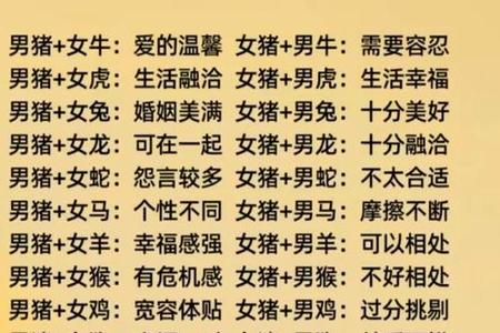 属猪人2025年运势、命运、婚姻与性格全解析