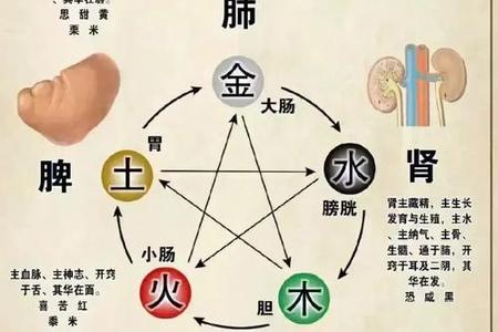 2025年05月19日天干地支与传统文化解析
