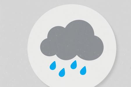 梦见雨后捡到一只小猫